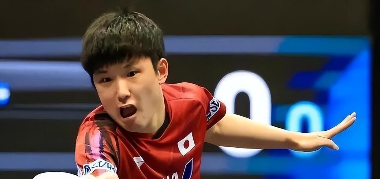 葡萄牙队完胜奥地利队,张本智和状态火热 葡萄牙队完胜奥地利队,张本智和状态火热