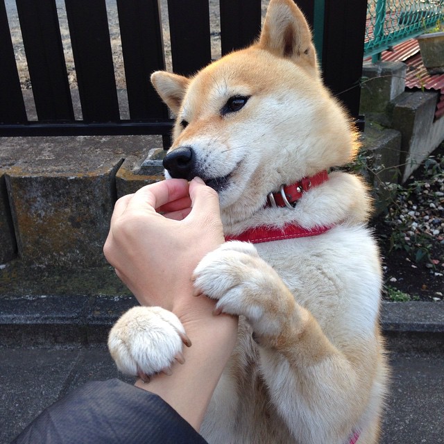 永恒的交锋，当火箭跨过分区宿命的壁垒—记一场本不存在的东决经典