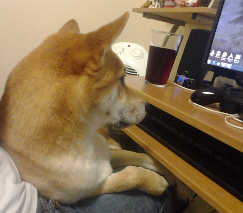 巨星的孤独与团队的重压,当布伦森的极致个人英雄主义撞上公牛的铜墙铁壁