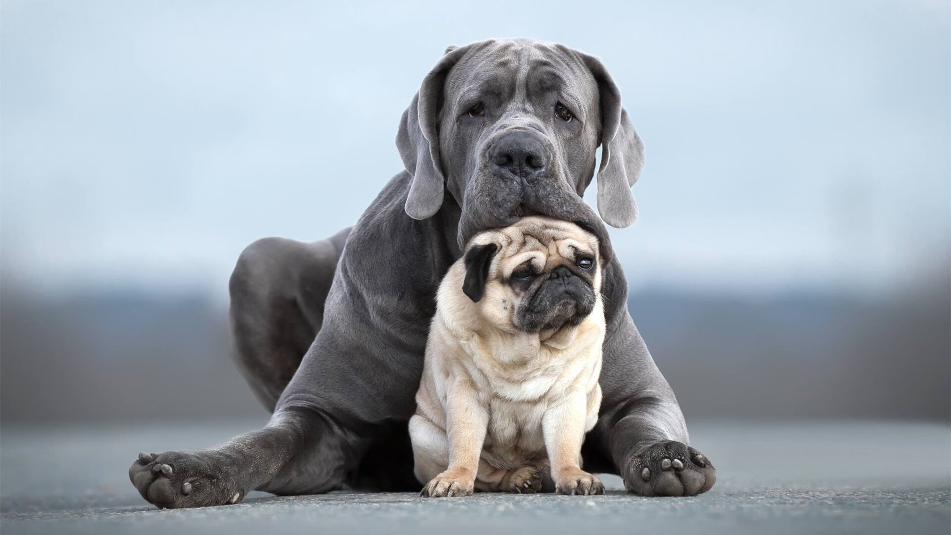 球场双线,战术的共性与智慧的较量