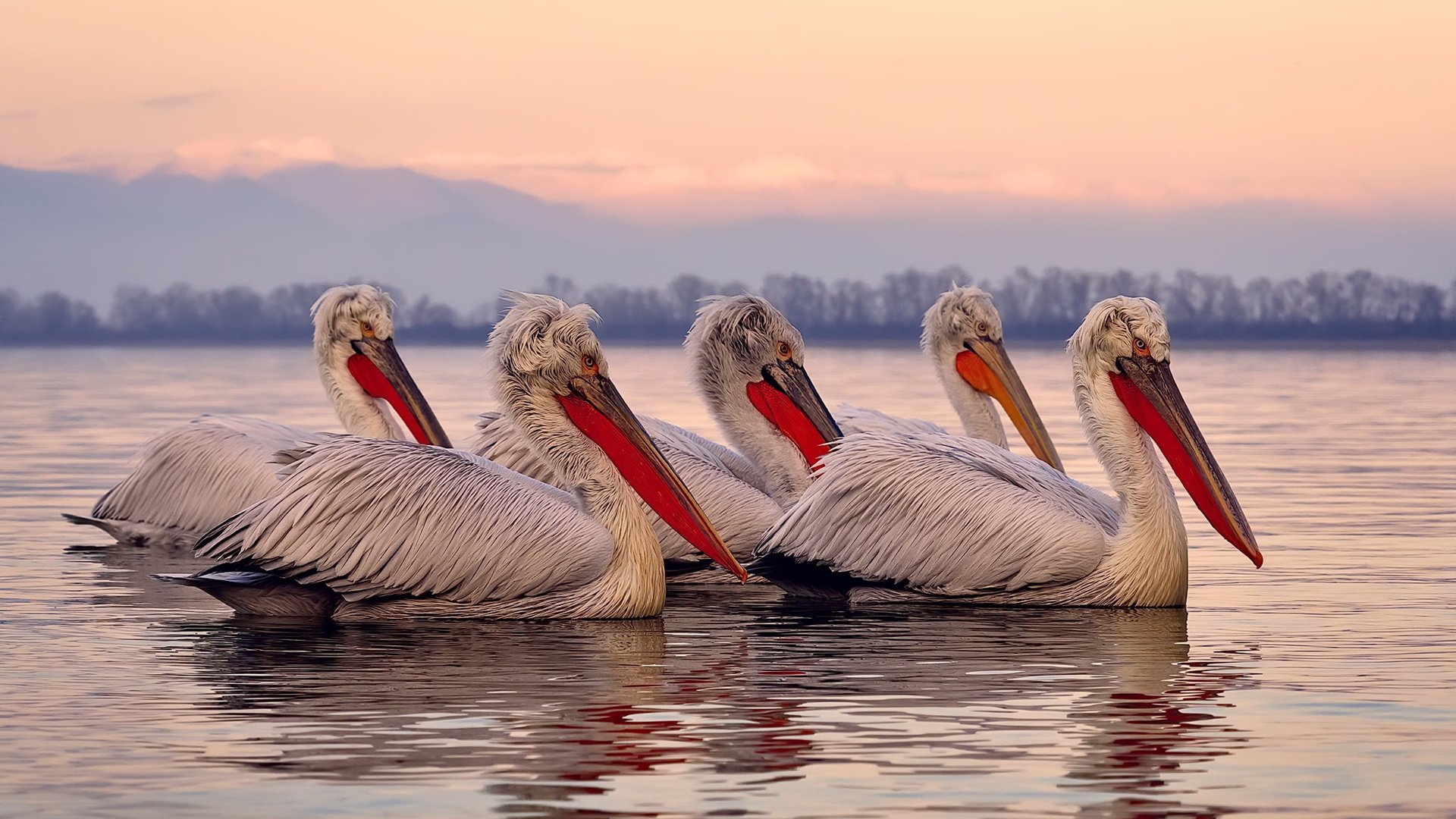 虚拟绿茵场上的终局之战,荷兰如何用毕尔巴鄂的灵魂完成元宇宙封神