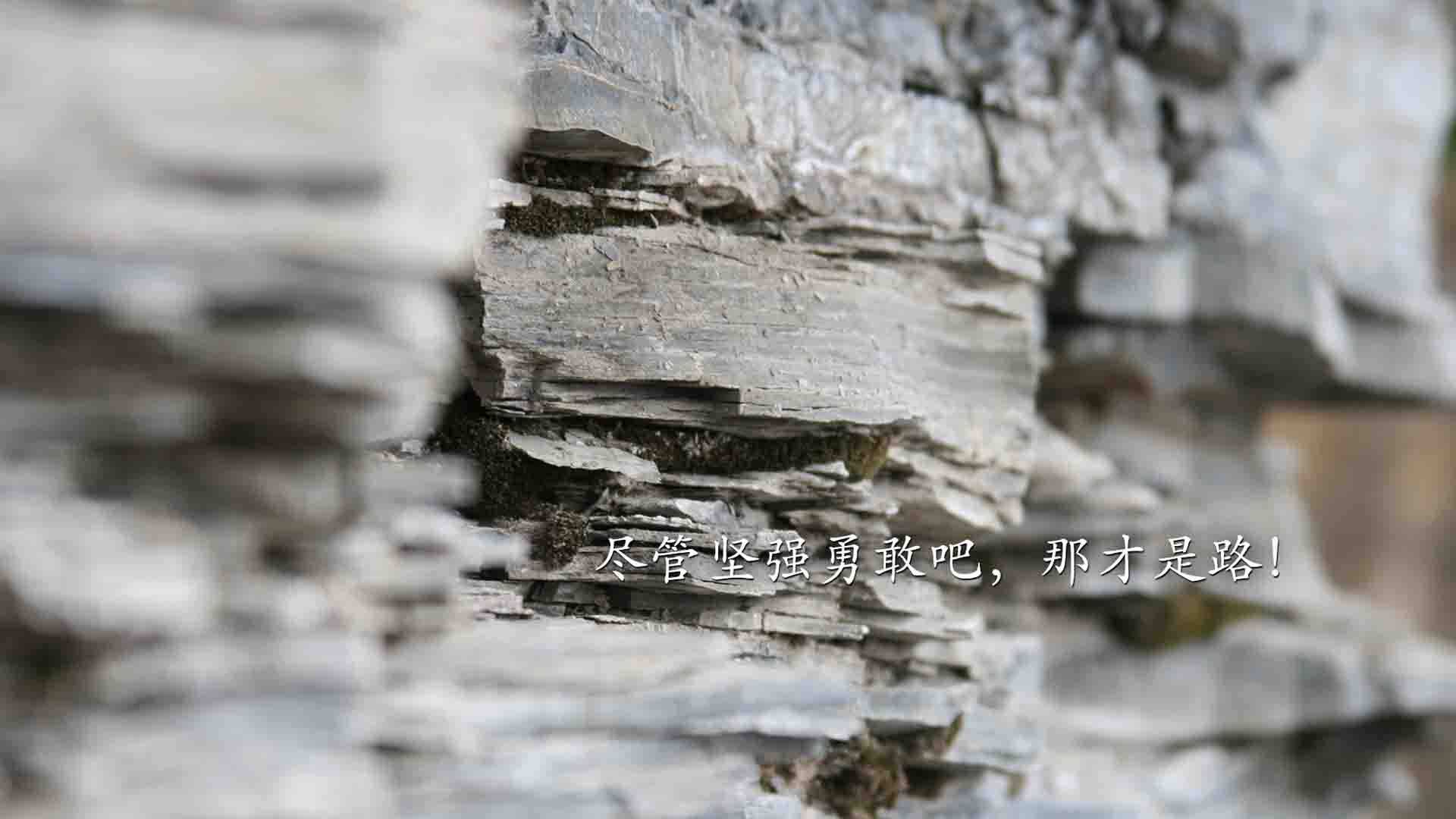 暗夜灯塔,阿尔瓦雷斯在巴西对阵安哥拉的关键时刻,以唯一性照亮胜利航路