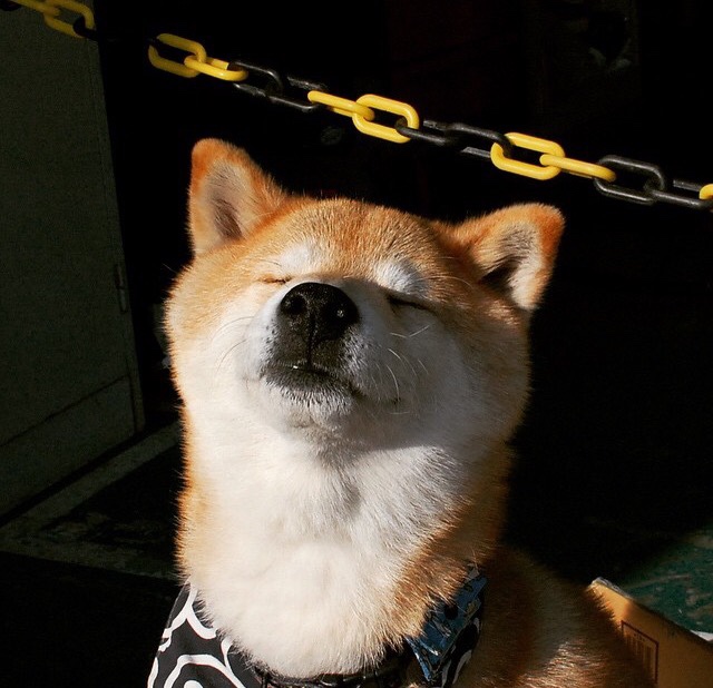 那场未被直播的比赛,如何让世界错过了久保建英真正的成年礼