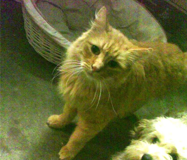 德比的密码与魔术的密钥，当永恒交锋遇见瞬间的破壁