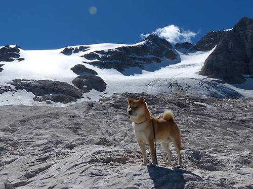 巨星哲学与团队协奏，当保罗的双重变奏奏响黄蜂的胜利乐章