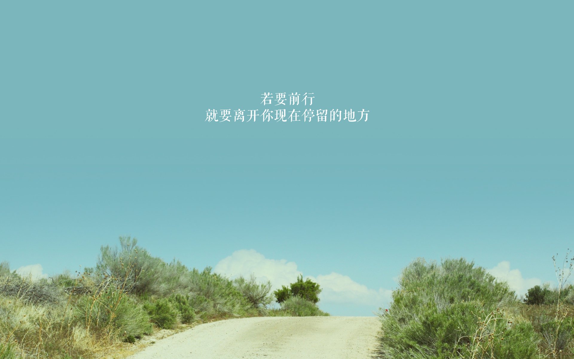 孤星闪耀，2026世界杯D组生死战，葡萄牙绝境破罗马尼亚，德容以一人之力改写命运