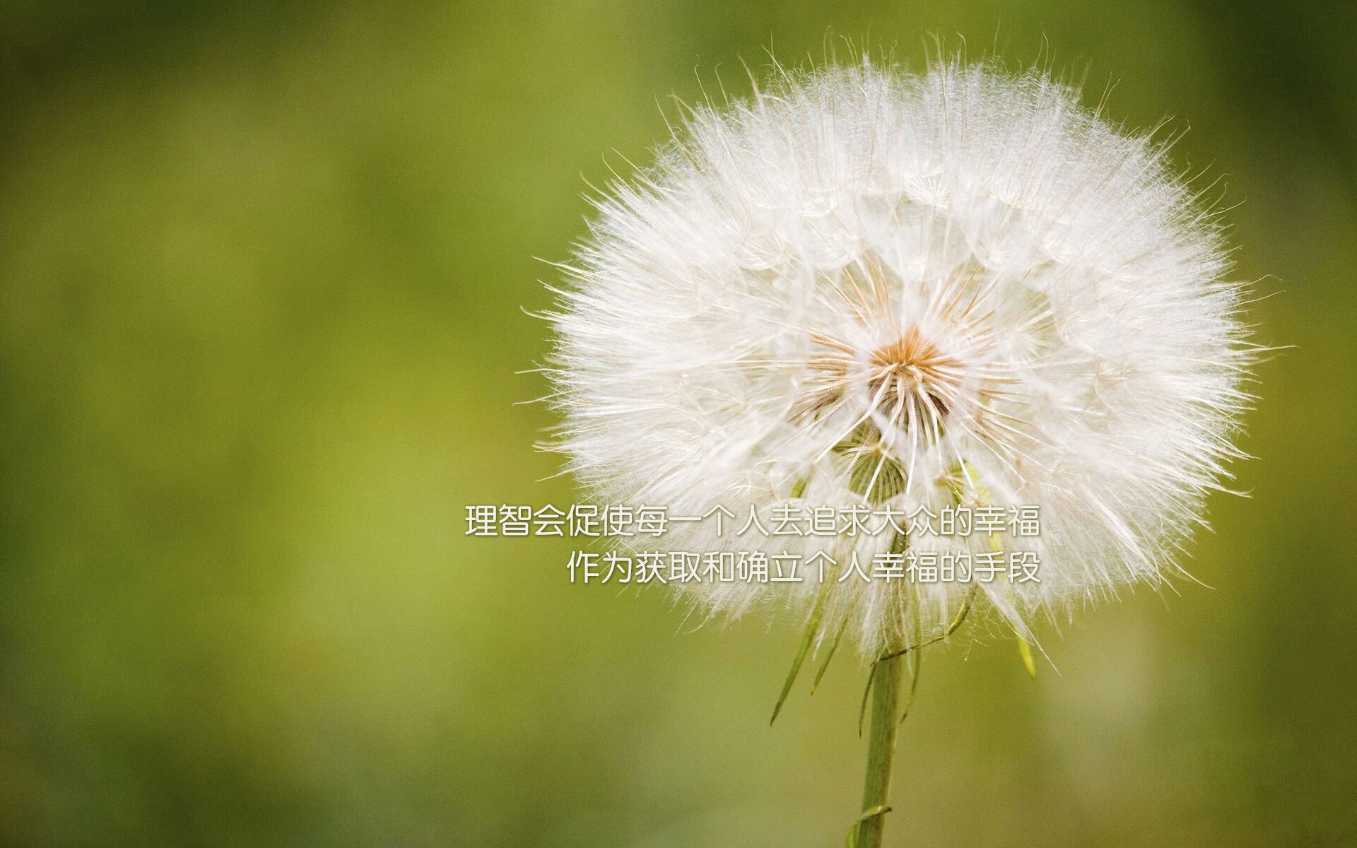 孤峰独峙,当哈兰德的光芒,照亮A组最残酷的唯一